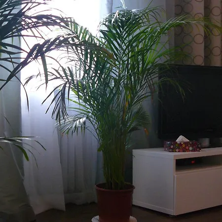 Apartment Apartament Chmielna *